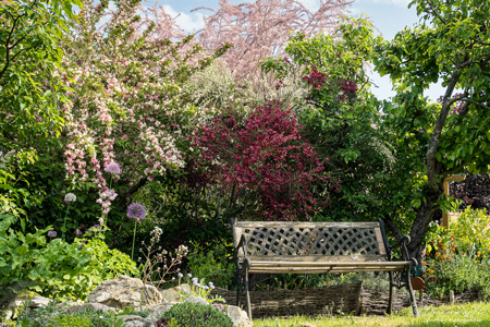 Gartenimpressionen ©DornenProjekt